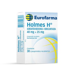 HOLMES H 40/25 X 30 TAB